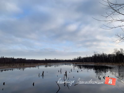 Moorsee im Wittmoor am 1.3.2023 Moorsee im Wittmoor am 1.3.2023