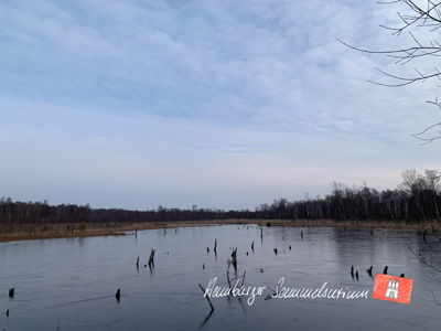 Moorsee im Wittmoor am 9.3.2023 Moorsee im Wittmoor am 9.3.2023