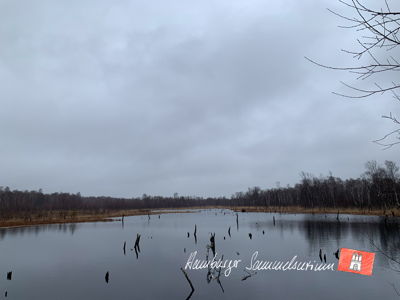 Moorsee im Wittmoor am 13.3.2023 Moorsee im Wittmoor am 13.3.2023