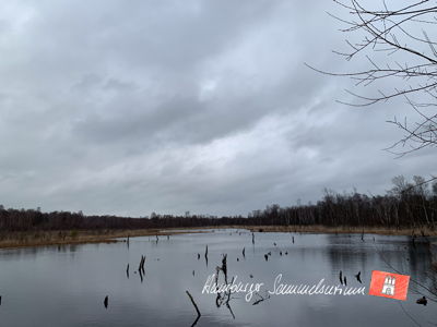 Moorsee im Wittmoor am 14.3.2023 Moorsee im Wittmoor am 14.3.2023