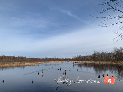 Moorsee im Wittmoor am 16.3.2023 Moorsee im Wittmoor am 16.3.2023
