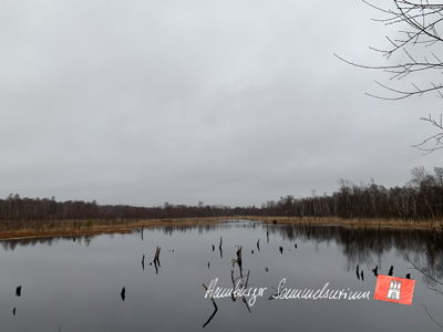 Moorsee im Wittmoor am 20.3.2023 Moorsee im Wittmoor am 20.3.2023