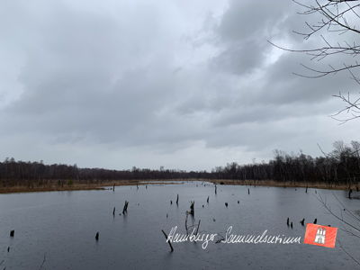 Moorsee im Wittmoor am 23.3.2023 Moorsee im Wittmoor am 23.3.2023