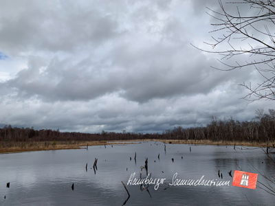 Moorsee im Wittmoor am 24.3.2023 Moorsee im Wittmoor am 24.3.2023