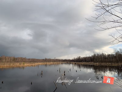 Moorsee im Wittmoor am 27.3.2023 Moorsee im Wittmoor am 27.3.2023