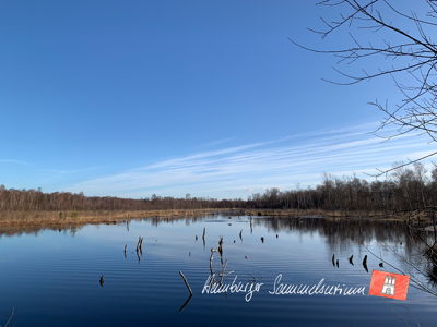Moorsee im Wittmoor am 28.3.2023 Moorsee im Wittmoor am 28.3.2023