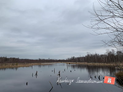 Moorsee im Wittmoor am 29.3.2023 Moorsee im Wittmoor am 29.3.2023