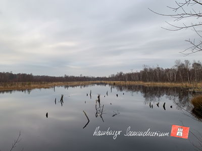 Moorsee im Wittmoor am 30.3.2023 Moorsee im Wittmoor am 30.3.2023