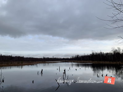 Moorsee im Wittmoor am 31.3.2023 Moorsee im Wittmoor am 31.3.2023