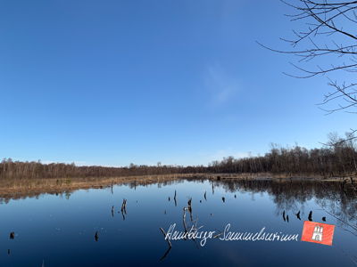 Moorsee im Wittmoor am 4.4.2023 Moorsee im Wittmoor am 4.4.2023
