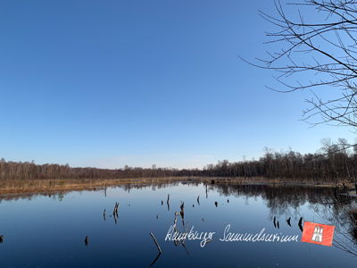Moorsee im Wittmoor am 6.4.2023 Moorsee im Wittmoor am 6.4.2023