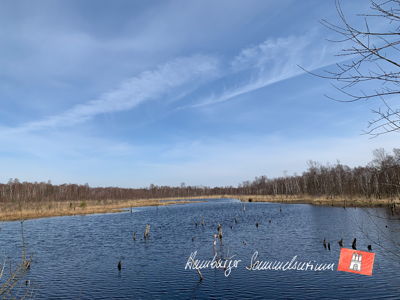 Moorsee im Wittmoor am 7.4.2023 Moorsee im Wittmoor am 7.4.2023