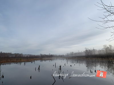 Moorsee im Wittmoor am 14.4.2023 Moorsee im Wittmoor am 14.4.2023