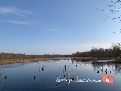 Moorsee im Wittmoor am 17.4.2023 Moorsee im Wittmoor am 17.4.2023