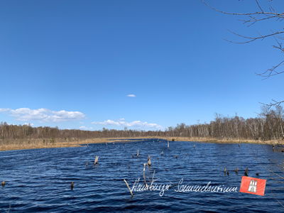 Moorsee im Wittmoor am 19.4.2023 Moorsee im Wittmoor am 19.4.2023