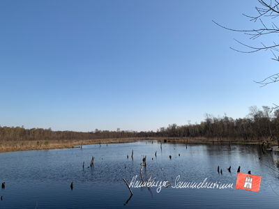 Moorsee im Wittmoor am 21.4.2023 Moorsee im Wittmoor am 21.4.2023