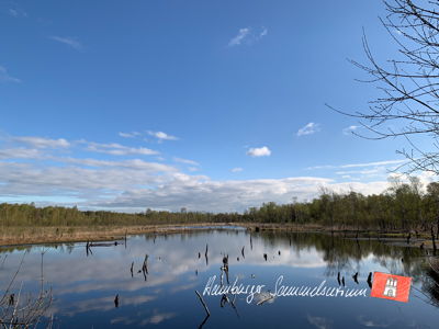 Moorsee im Wittmoor am 24.4.2023 Moorsee im Wittmoor am 24.4.2023