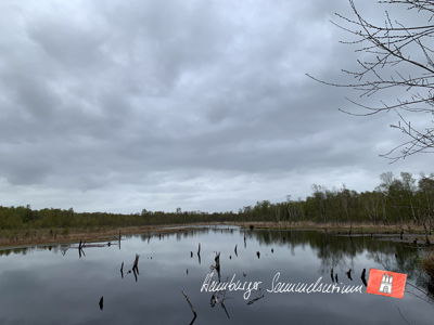Moorsee im Wittmoor am 25.4.2023 Moorsee im Wittmoor am 25.4.2023