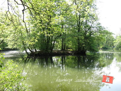 Insel im Mühlenteich am südlichen Rand des Rodenbeker Quellentals. Insel im Mühlenteich am südlichen Rand des Rodenbeker Quellentals.