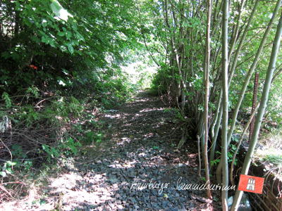 Ehemaliges Gleisbett südlich vom Schellfischtunnel.