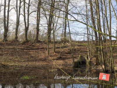 Gleicher Standort am 15.3.2017.