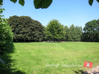 Die große Wiese im Wacholderpark.