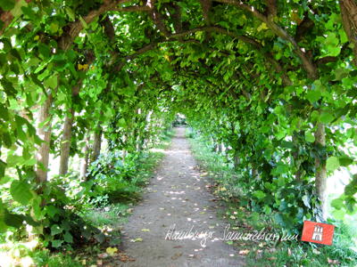 Südöstlicher Laubengang am Wacholderweg.